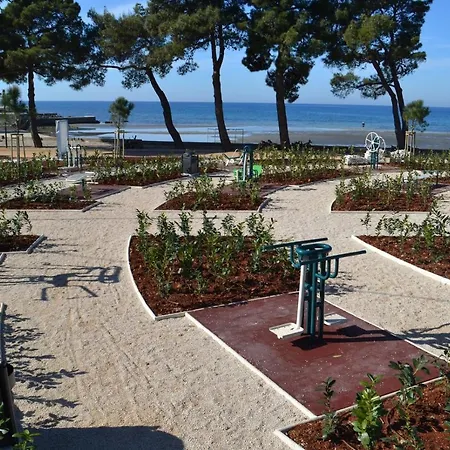 App Punta Stella *
